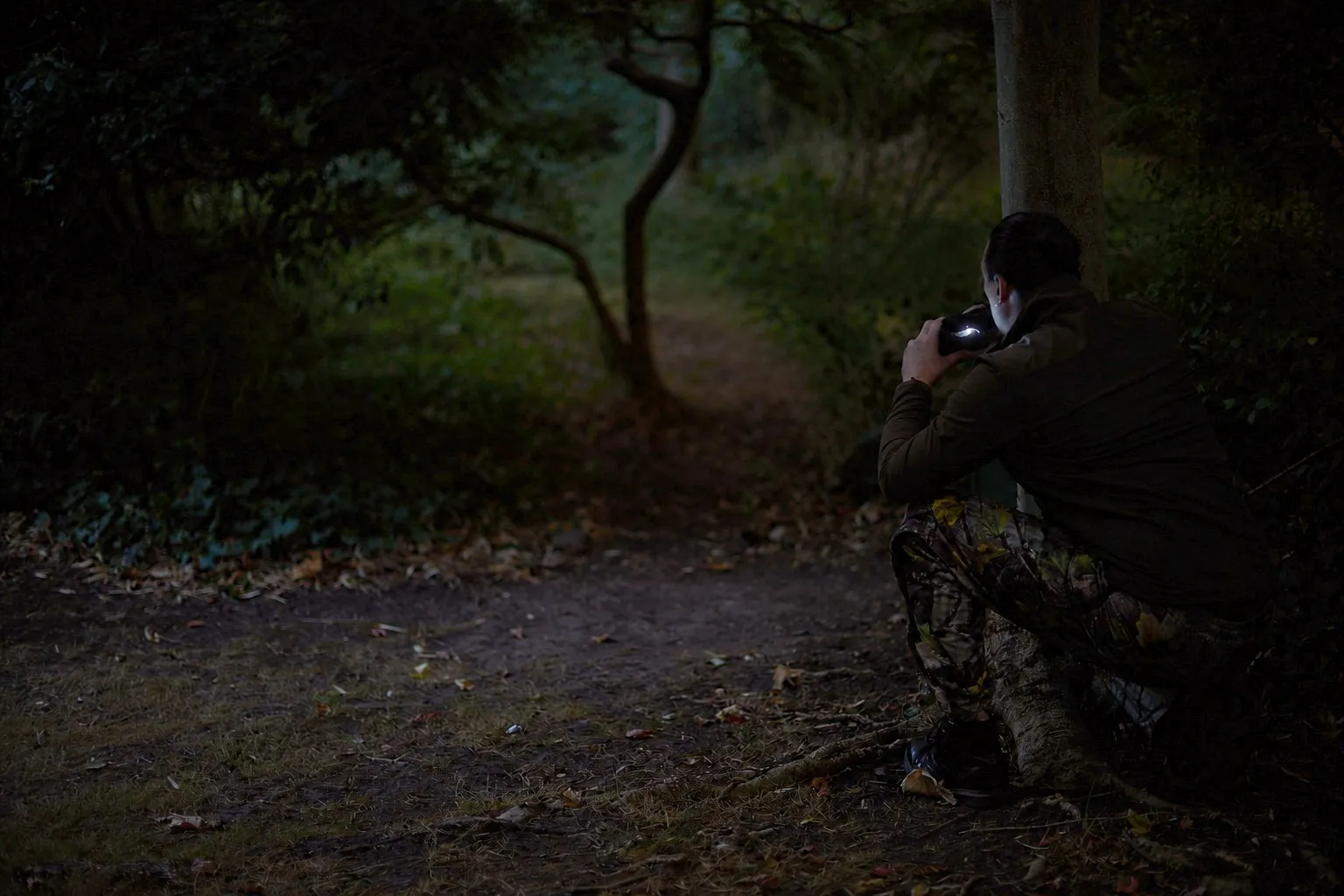 Evening — thermal observation
